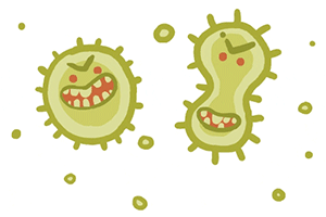 Bakterijos, gyvenančios mūsų organizme yra sąlyginai vadinamos „gerosiomis“ (nes trukdo „blogosioms“ daugintis, pavyzdžiui, laktobakterijos) ir „blogosiomis“ (galinčios sukelti ligas, pavyzdžiui, streptokokai).