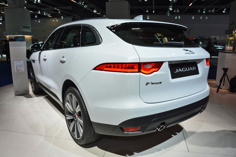 FPACE (10)