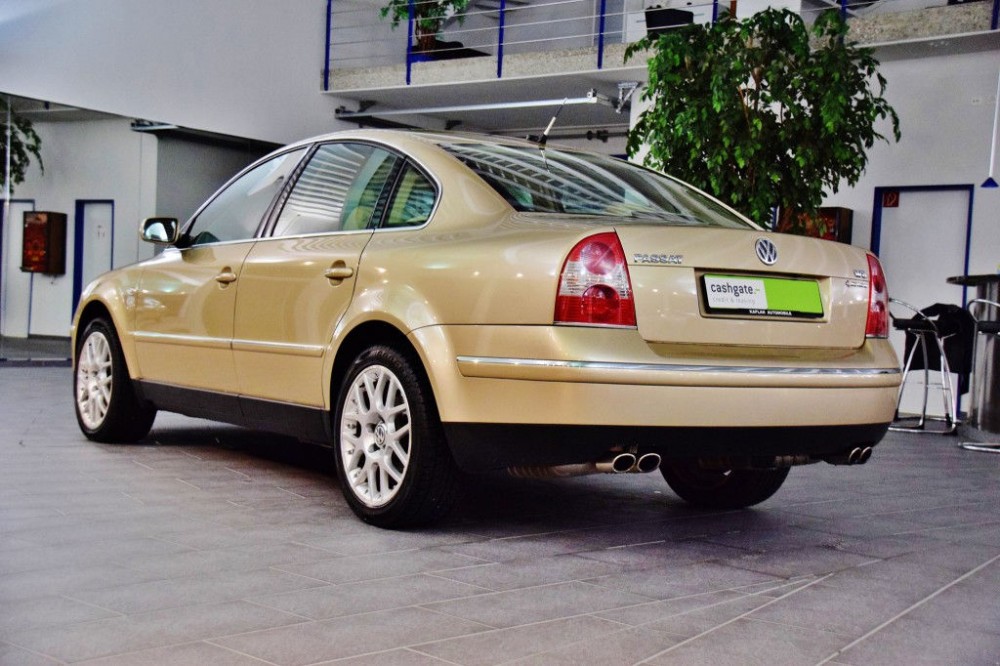 Volkswagen Passat W8 (2)