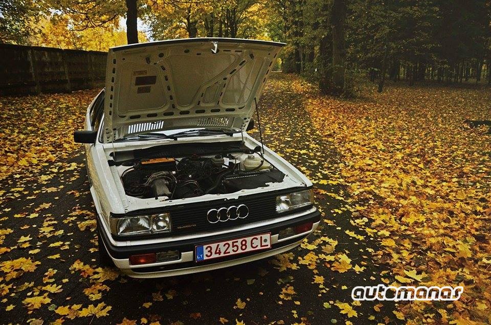 Audi Coupe Quattro (6)