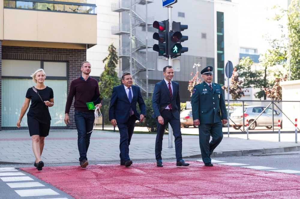 Apsaugok mane kalbanti perėja Vilniuje_2