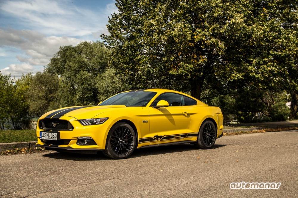 Ford Mustang (19)